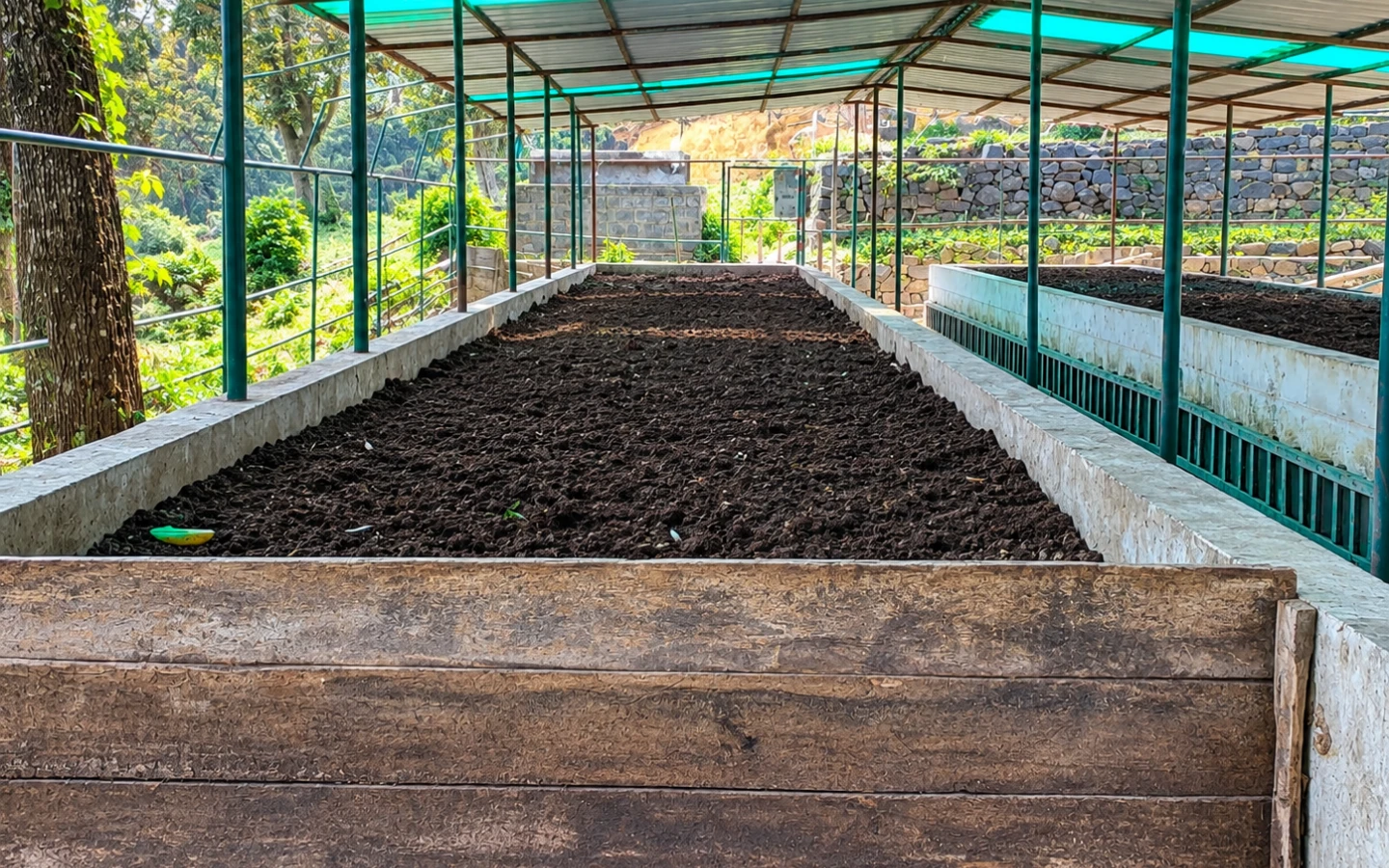 Compost beds on the estate, banked in rows and turned between harvests