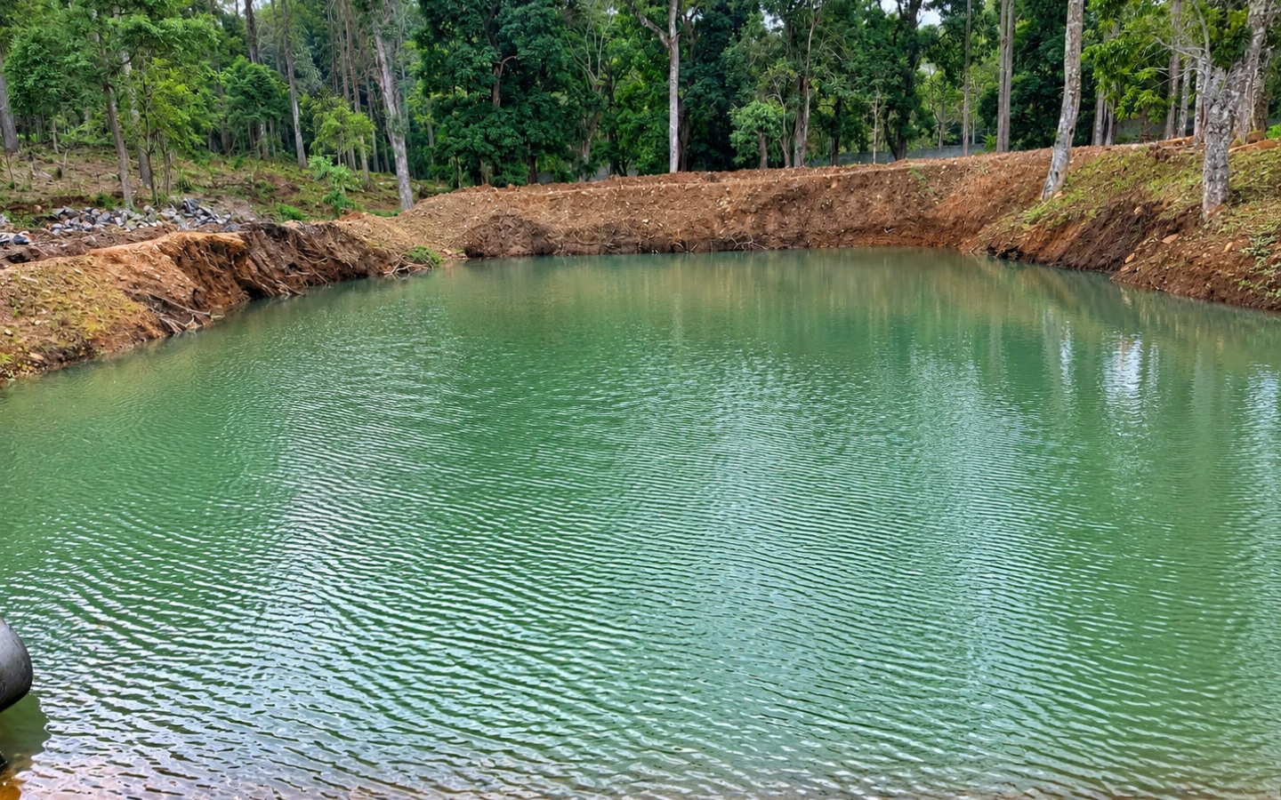 An estate storage pond holding rainwater between the planted blocks